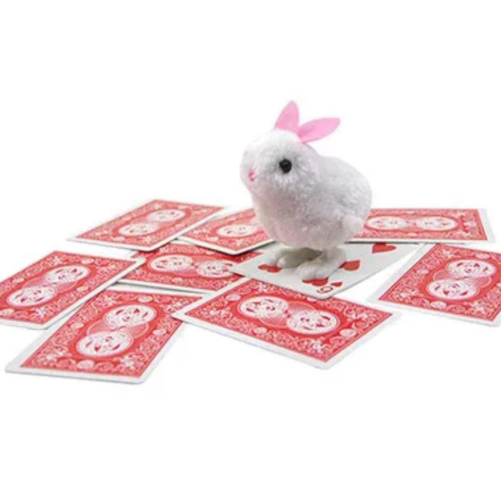 Kids Show Card Magic