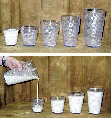 Multum in Parvo (Bazar De Magia)