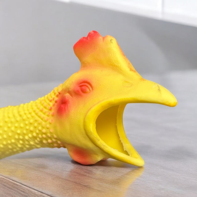 Rubber Chicken