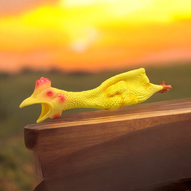 Rubber Chicken