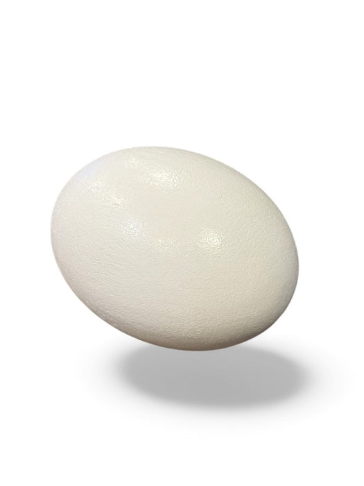 Super Wooden Egg (White)