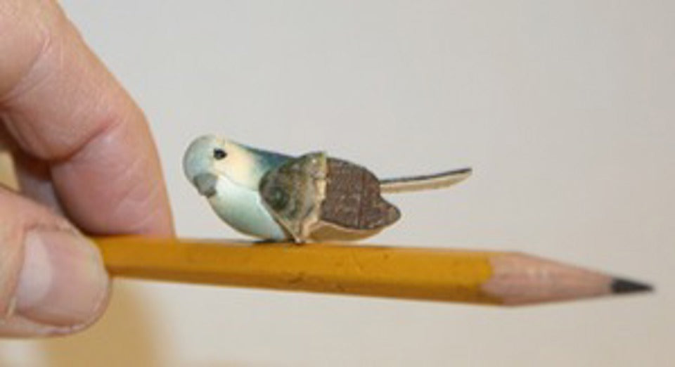 THE FINGER BIRD by Chazpro Magic