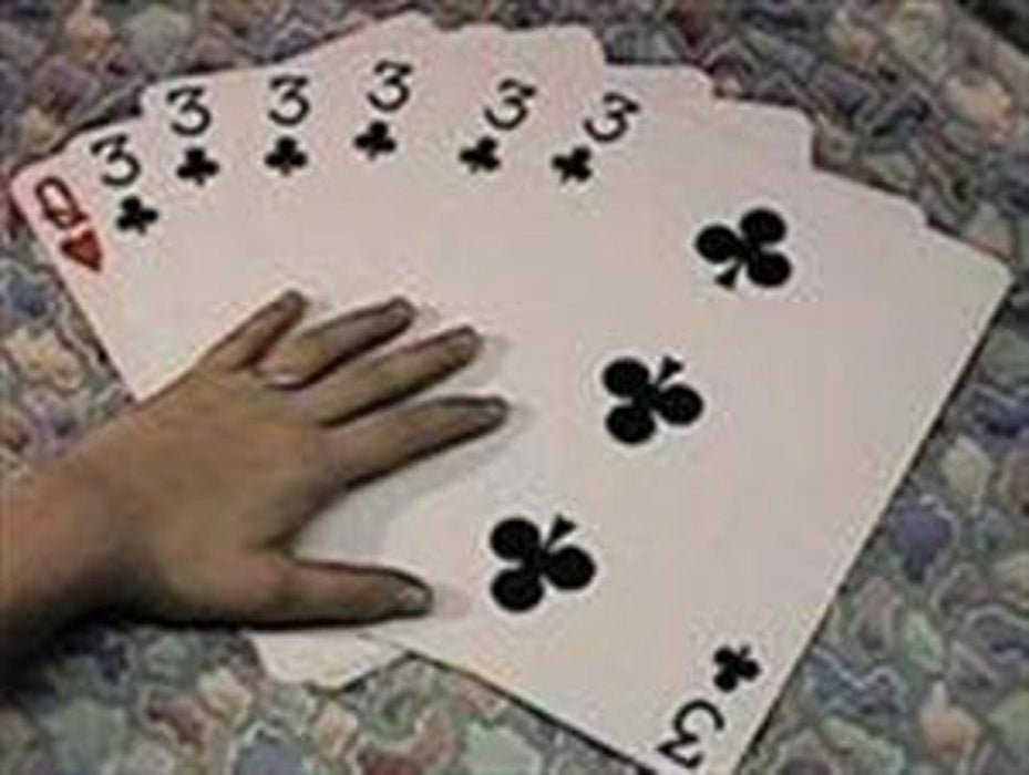 Wild Card (Giant)