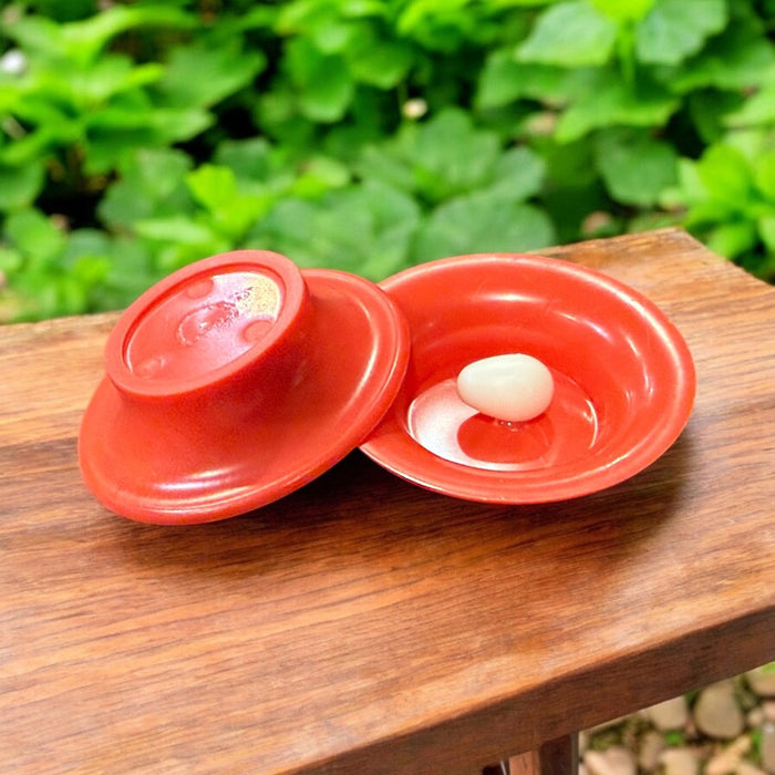 Egg to Bird