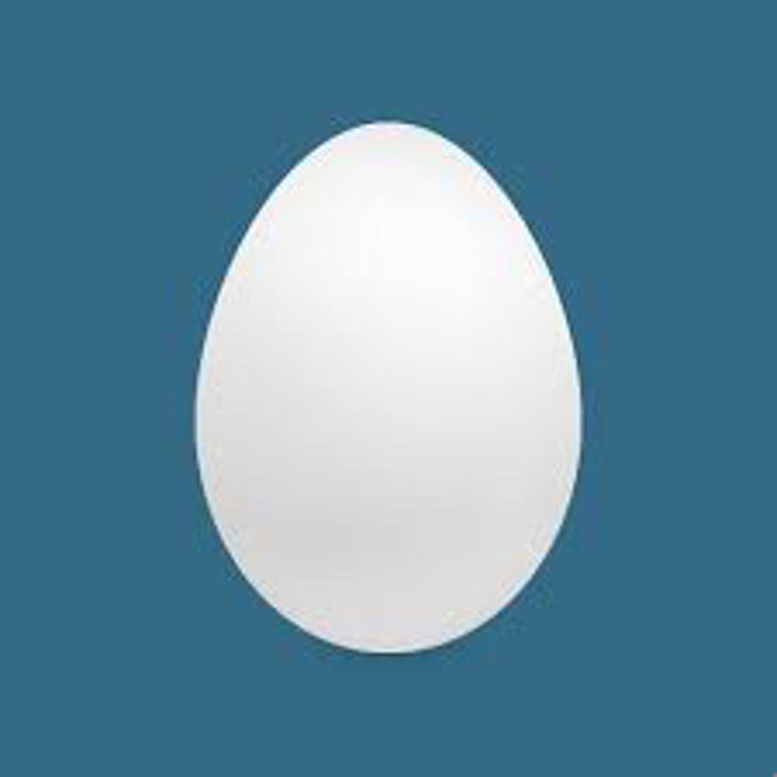 Solid Plastic Egg Realistic