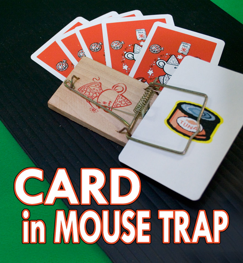 Card in Mousetrap with Picture Cards