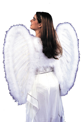 ANGEL WINGS FEATHER