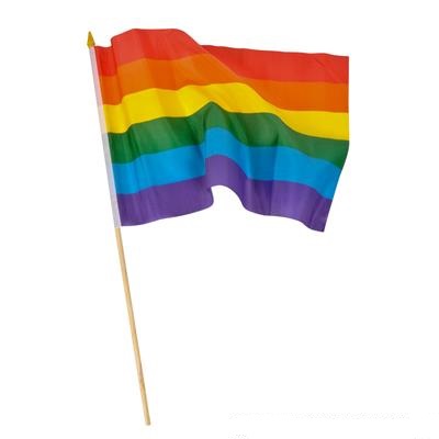 12" x 18" Rainbow Flag (case of 600)