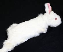 Spring Rabbit Puppet with 4 Legs by Magic Masters
