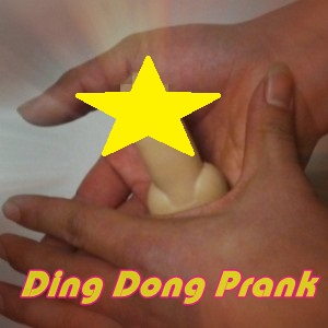Ding Dong Prank with Magnet (watch video)
