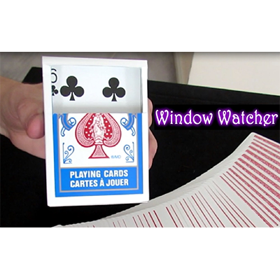 Window Watcher by Aaron Plener Video DOWNLOAD