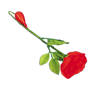 Squirting Rose Long Stemmed (Dozen)
