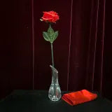 Floating and Color Changing Rose by JIN