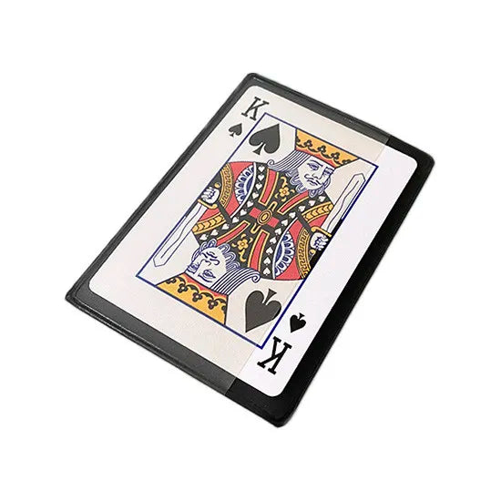 Plastic Wallet for Cards (Dozen)