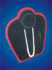 Magic Necklace Case