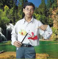 Flash Flower Wand - Feather - Aluminium - Madhatter Magic
