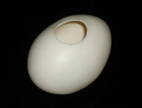 Super Latex Egg - (White) - MHM