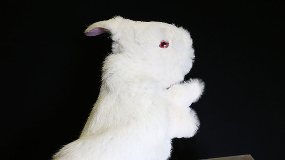 Rabbit Hand Puppet by Magic Masters