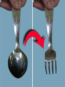 SPOON TO FORK