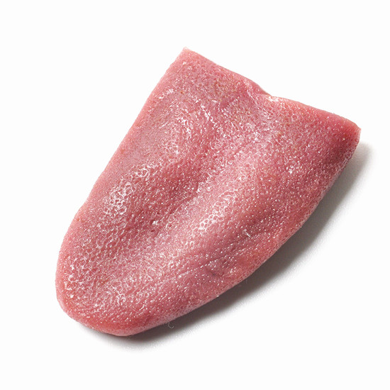 Realistic Fake Tongue (watch video)