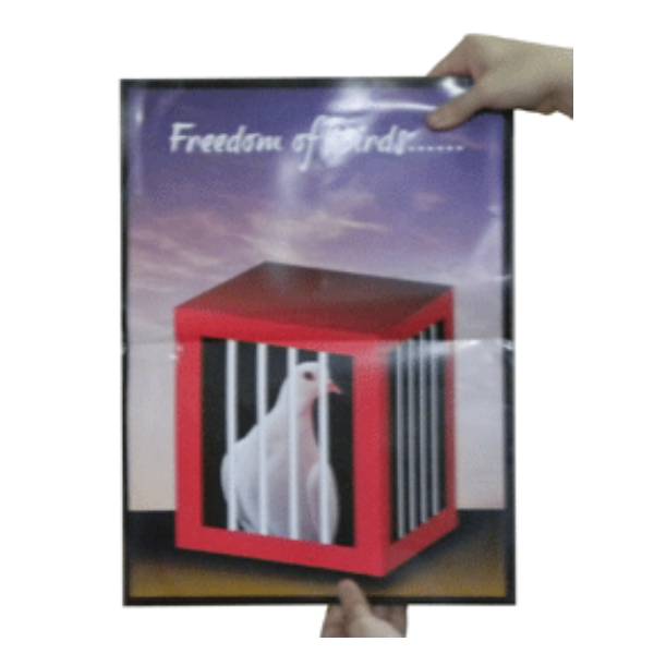 Bird Cage from Poster