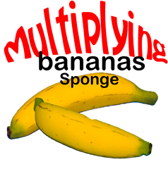 Sponge Banana Set of 2 Realistic