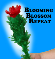 Blooming Blossom Repeat