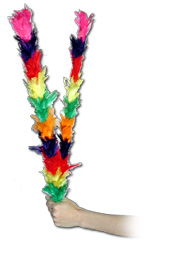 Feather Plumes (For the Vanishing Cane)