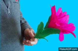 Flower to Silk to Cane (watch video)