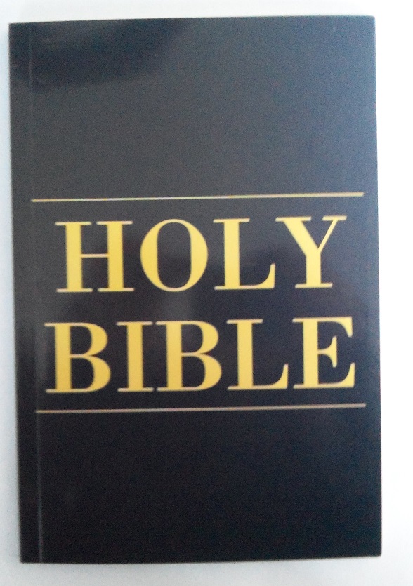 Holy Bible Coloring Book Medium Size Case of 100