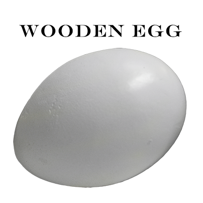 Wooden Egg by Mr. Magic