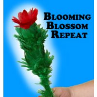Blooming Blossom Repeat