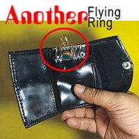 Flying Ring Economy