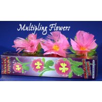 Multiplying Flowers