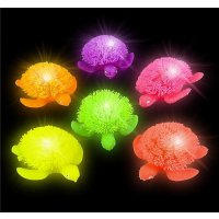 3.5" Light Up Puffer Turtle (case of 288)