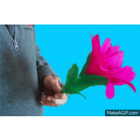 Flower to Silk to Cane (watch video)