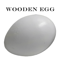 Wooden Egg by Mr. Magic