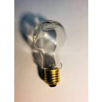 Replacement Bulb for Milk into Light Bulb