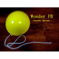 Wonder Floating Balloon by RYOTA (watch video)